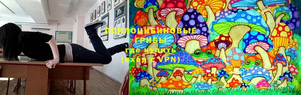 стафф Балабаново