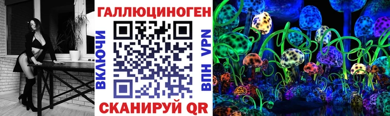 Псилоцибиновые грибы Cubensis  ОМГ ОМГ   Юрьевец 